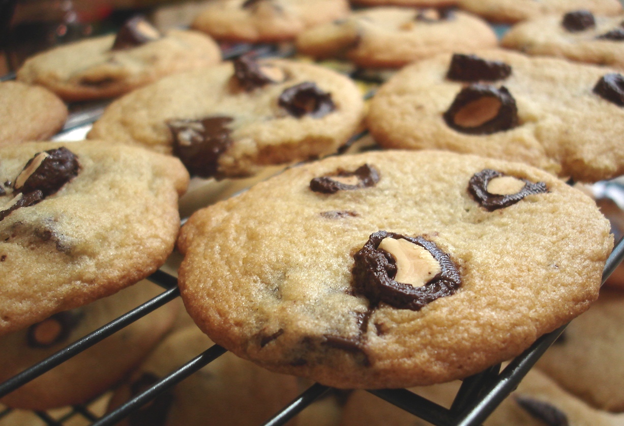 [Image: chocolate-almond-cookies.jpg]